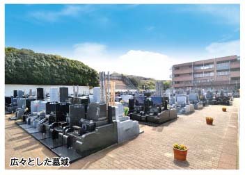 広々とした墓域